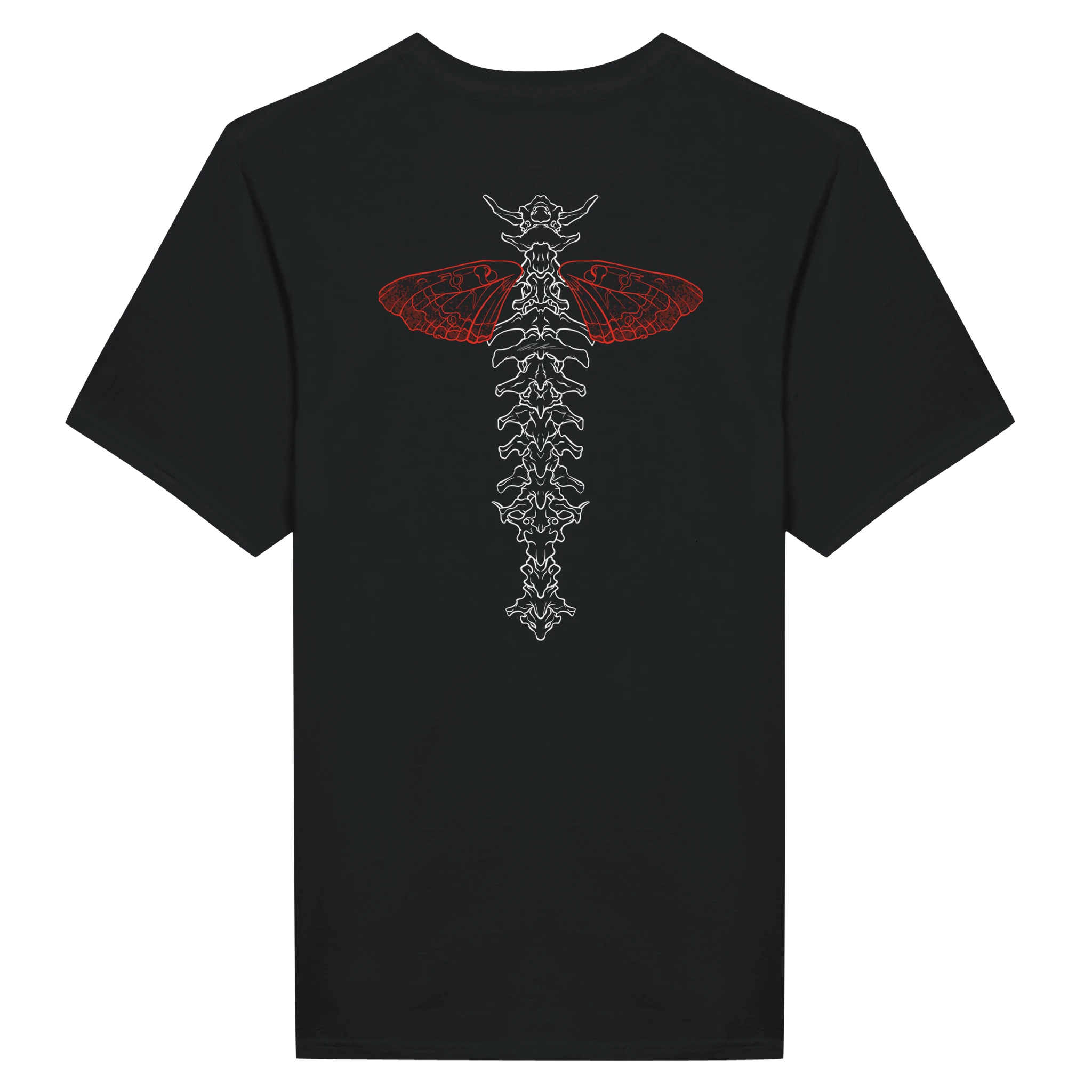 01dae386-cc53-4f77-8b7e-835fb46828de